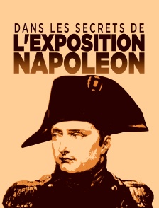 Dans les secrets de l'exposition Napoléon