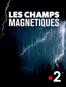 Les champs magnétiques