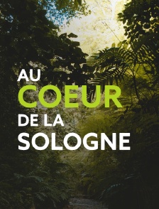 Au coeur de la Sologne