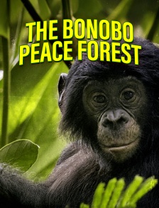 The Bonobo Peace Forest