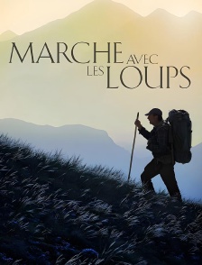 Marche avec les loups