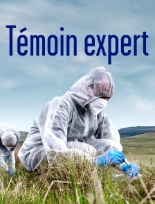 Témoin expert