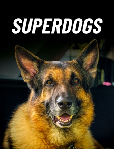 Super Dogs