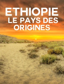 Ethiopie, le pays des origines