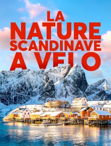 La nature scandinave à vélo