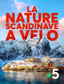 France 5 - La nature scandinave à vélo