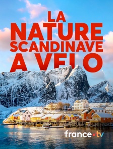 france.tv - La nature scandinave à vélo