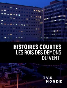 TV5MONDE - Le roi des démons du vent