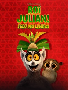 Roi Julian ! L'élu des lémurs