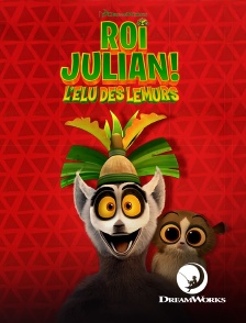 DreamWorks - Roi Julian ! L'élu des lémurs