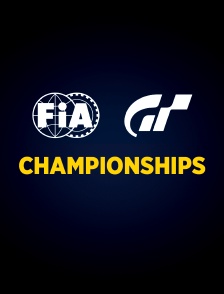 FIA GT Championships