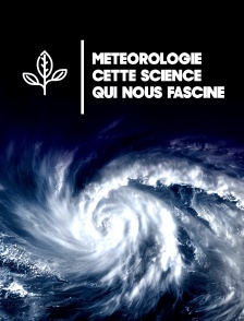 Météorologie : cette science qui nous fascine