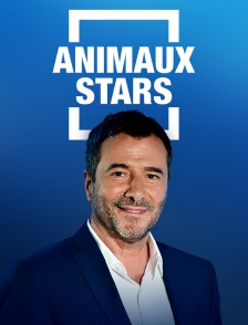 Animaux stars