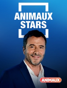 Animaux - Animaux stars en replay