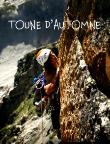 Toune d'automne