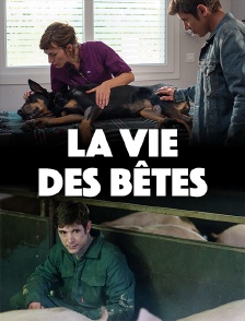 La vie des bêtes
