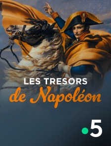 France 5 - Les trésors de Napoléon
