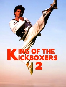 King Of The Kickboxer 2