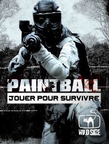 Wild Side TV - Paintball : jouer pour survivre en replay