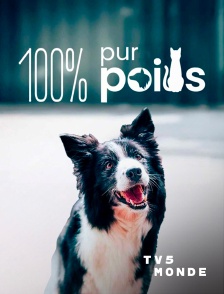 TV5MONDE - 100% Pur poils