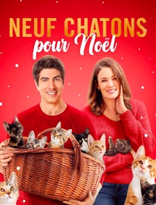 Neuf chatons pour Noël