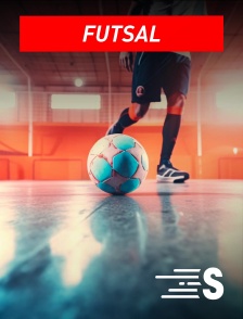 Sport en France - Futsal