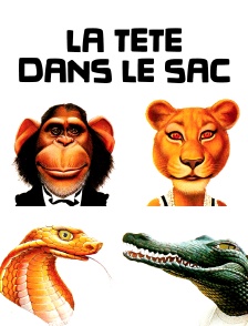 La tête dans le sac