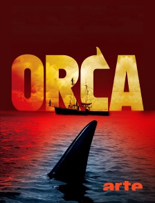 Arte - Orca