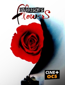 CINÉ Cinéma - Harrison's Flowers