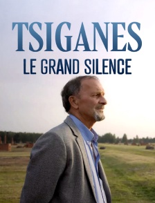 Tsiganes, le grand silence