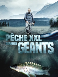 Pêche XXL : Derniers Géants