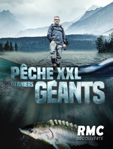 RMC Découverte - Pêche XXL : derniers géants