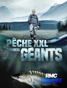 RMC Découverte - Pêche XXL : derniers géants
