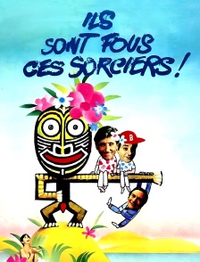 Ils sont fous ces sorciers