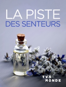 TV5MONDE - La Piste Des Senteurs, De Florence À Grasse