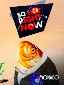TV Monaco - So hot right now