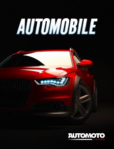 Automoto - Max Verstappen : Le Lion déchainé