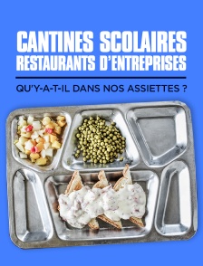 Cantines scolaires, restaurants d'entreprises : qu'y-a-t-il dans nos assiettes ?