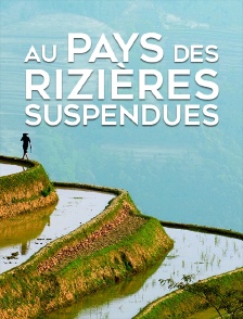 Au pays des rizières suspendues
