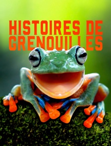 Histoires de grenouilles