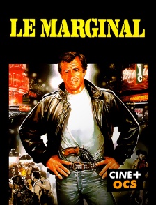 CINÉ Cinéma - Le marginal