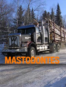 Mastodontes