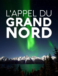 L'appel du Grand Nord
