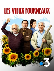 Les vieux fourneaux