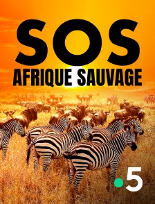 SOS Afrique sauvage