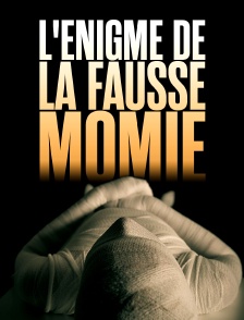 L'énigme de la fausse momie