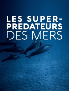 Les super-prédateurs des mers