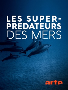 Arte - Les super-prédateurs des mers
