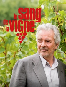 Le sang de la vigne
