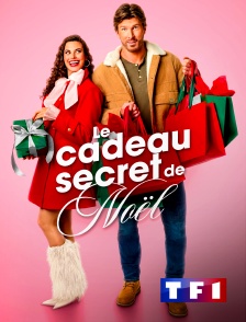 TF1 - Le cadeau secret de Noël